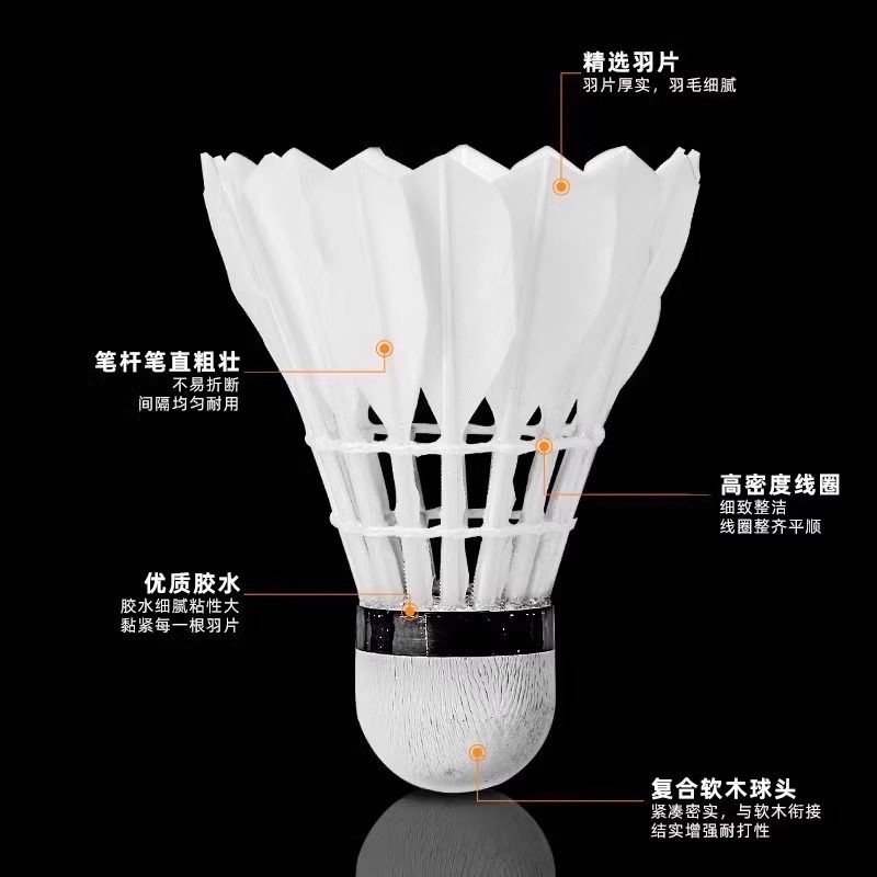 라이온 배드민턴 셔틀콕 거위털 12개입 내구성 킹 화이 - Badminton Event 리뷰 및 가격