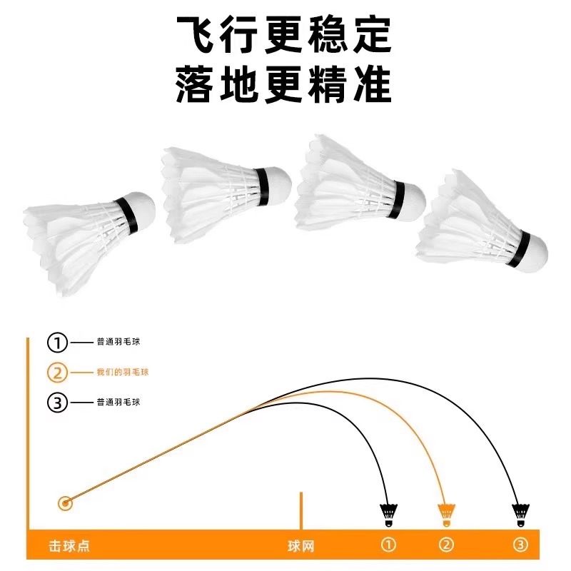 라이온 배드민턴 셔틀콕 거위털 12개입 내구성 킹 화이 - Badminton Event 리뷰 및 가격