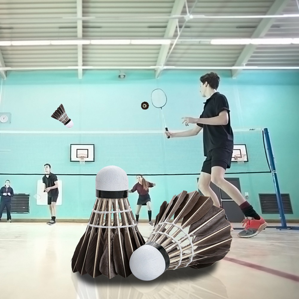 3/6/12개입 액세서리 안정적인 스포츠용 전문가용 내 - Badminton Event 리뷰 및 가격