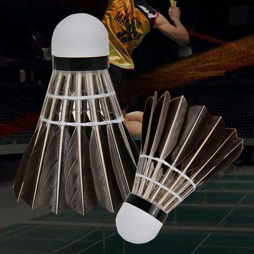 3/6/12개입 액세서리 안정적인 스포츠용 전문가용 내 - Badminton Event 리뷰 및 가격